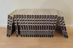 最終値下　我間乱 中丸洋介 1-20.22巻セット