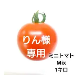 りん様専用ミニトマトMix1キロ