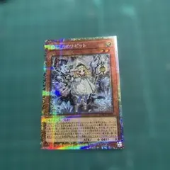 白き森のリゼット　プリシク.