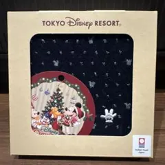 東京ディズニーリゾート ミッキー タオル