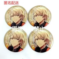 棗巳波 ZOOL 9周年 9th 缶バッジ コレクション ズール アイナナ