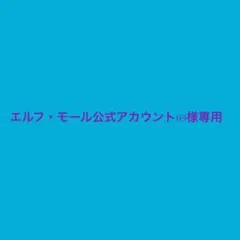 専用出品
