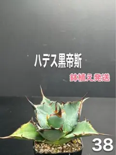 りょうパパ様 リクエスト 4点 まとめ商品