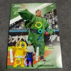 Item thumbnail for item 610517e0-7880-42da-86b8-7f4d55900f7a