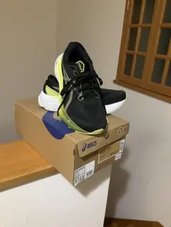 asics ランニングシューズ 27.0 ゲルカヤノ30 extrawide