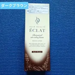 ヘアボーテ エクラ ボタニカル エアカラーフォーム EX ダークブラウンのサムネイル