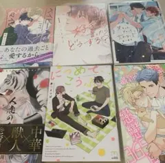 ＢＬコミック　6冊セット　ＢＬ小説　ＢＬ新刊　組み替えOK