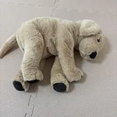 犬 ぬいぐるみ ベージュ ダックスフンド風 - メルカリ
