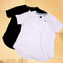 プーマ　レディーススポーツウェア　Lサイズ　2枚セット