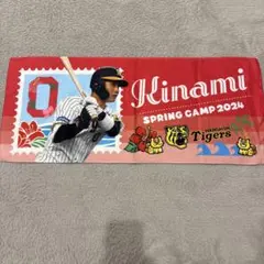 Item thumbnail for item 1489569e-78d2-4070-a793-d16177c5e2d1