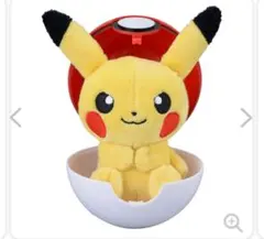 ポケモンセンター ポケセン モンスターボール 小物入れ 大人気シリーズ「プチぬいぐるみINモンスターボールケース」第4