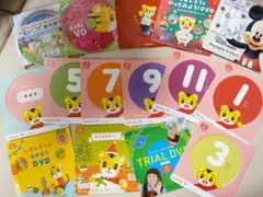 こどもちゃれんじぷちDVDセット