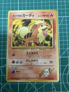 カツラのガーディ ポケモンジム第3弾 グレンタウンジム カツラ