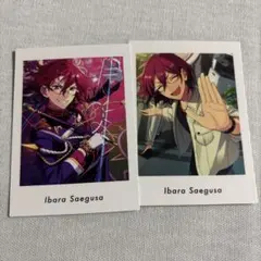 2025年最新】七種茨の人気アイテム - メルカリ