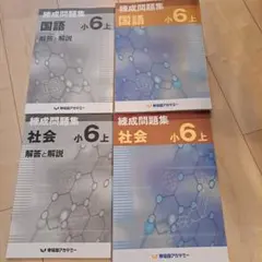 2026年最新】練成問題集 小5国語の人気アイテム - メルカリ