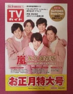 嵐 TVガイド ポスター