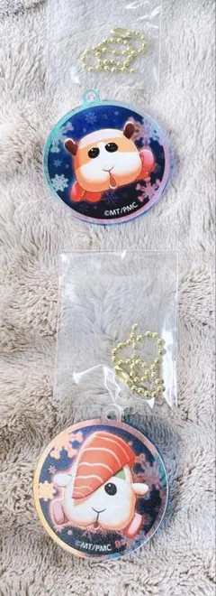 PUI PUI モルカー スモールワールズ オーロラアクリルチャーム