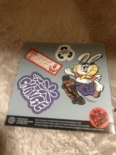 ASTROユンサナCHAMELEON 2枚セットステッカー