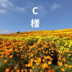 C様リクエストのサムネイル