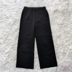 セオリーリュクス　現行　テーパードパンツ　ストレッチ　洗える　ブラック　36