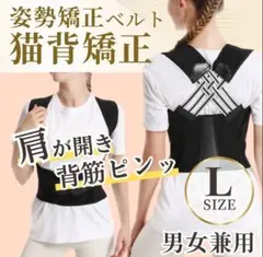 Item thumbnail for item c2991d59-58c7-4d64-8f2f-74cb0bb2151e