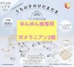 ゆんゆん様専用 ポメラニアン2個