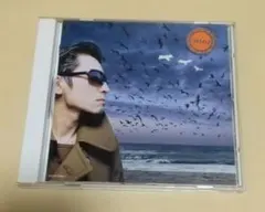 2026年最新】ロデオタンデムビートスペクターの人気アイテム - メルカリ