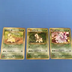 ポケモンカード　メガニウム 旧裏面 neo プレミアムファイル１マークなし