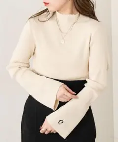 袖刺繍ハイネックリブニット アイボリー