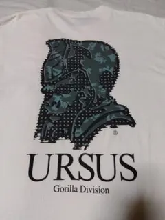 Item thumbnail for item 41ff0957-fbce-47b0-bfa9-5036e98393d3