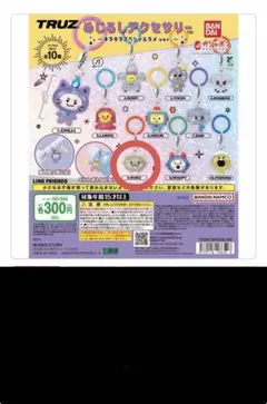 TRUZ RURU めじるしアクセサリー