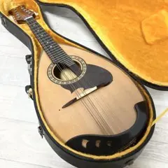 極美品　Suzuki マンドリンM-210 1974年 ジャパンビンテージ 極美品 Suzuki マンドリンM-210 1974年 ジャパンビンテージ