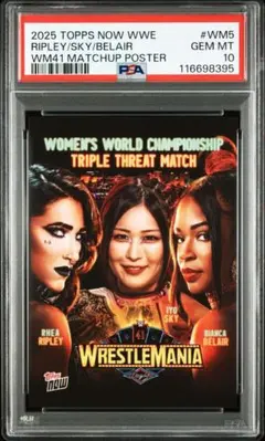 Item thumbnail for item 77358269-846b-4d08-921a-b312f8af0b4a