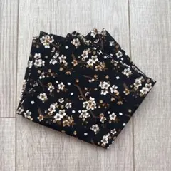 Item thumbnail for item 7def3ee7-2667-48e2-9f1d-64514fbb8f27