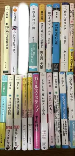 小説 まとめ売り 19冊 バラ売り可能
