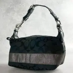 【極美品】コーチ アクセサリーポーチ　ワンショルダーバッグ y2k ブラック