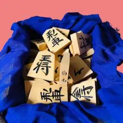 2025年最新】天童特産御将棋駒の人気アイテム - メルカリ