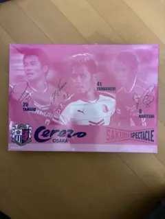 Item thumbnail for item 6c416eb9-7e15-4bd3-9454-3ae2a52ccf29