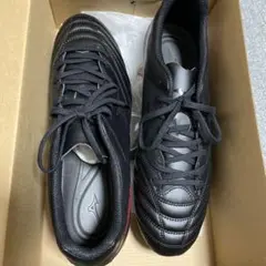 モナルシーダネオ2セレクトSI
