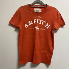 Abercrombie & Fitch オレンジ Tシャツ S