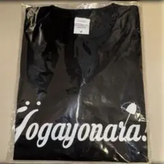 Item thumbnail for item ca1ee844-82a7-43e5-b897-d42dafc4ed97