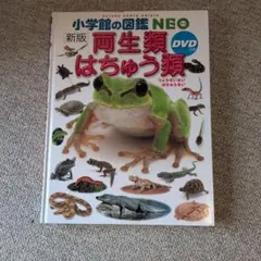 小学館の図鑑NEO　図鑑　新版 両生類 はちゅう類　 DVD付き