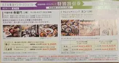 阪急阪神HD株主優待券 有馬太閤の湯 宝塚ホテル ホテル阪急他特別割引券 1枚