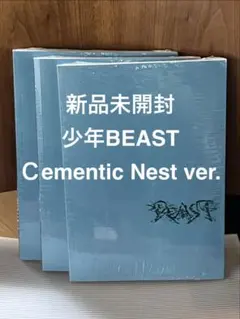 ALD1 UNBREAKABLE 少年BEAST アルバム 新品未開封①