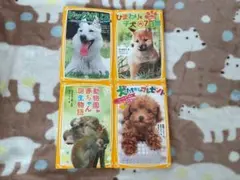 集英社みらい文庫　小説　文庫本　4冊