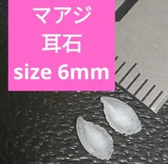 マアジ 耳石 お守りパワーストーン天然石宝石開運受験生物学 A6