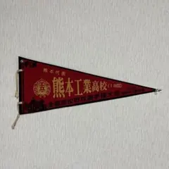 駒大苫小牧高校 記念品 サイン5枚セット 駒大苫小牧高校 記念品 サイン5枚セット