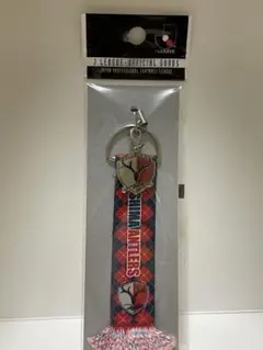 鹿島アントラーズ ストラップ&ユニフォームキーホルダー& ピンバッジ まとめ売り DSC09852-Photoroom_1800x1800.