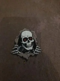 1994's POWELL PERALTA　Lサイズのサムネイル