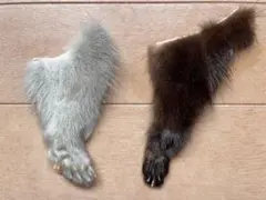 ミンク　毛皮 leg / 脚　はぎれ リアルファー　2個